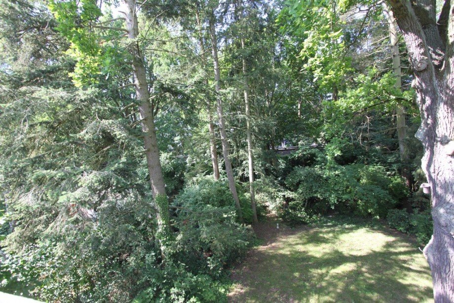 Aussicht in den Garten Wohnung Berlin